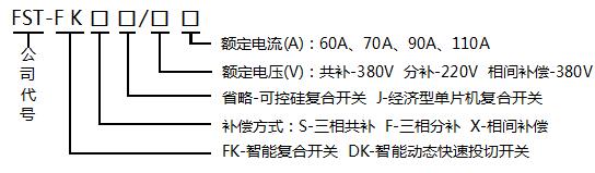 FST-FK智能復合開關 FST-FK智能復合開關