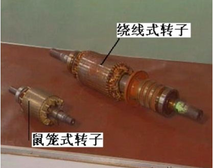 �@��ʽ늙C���D��